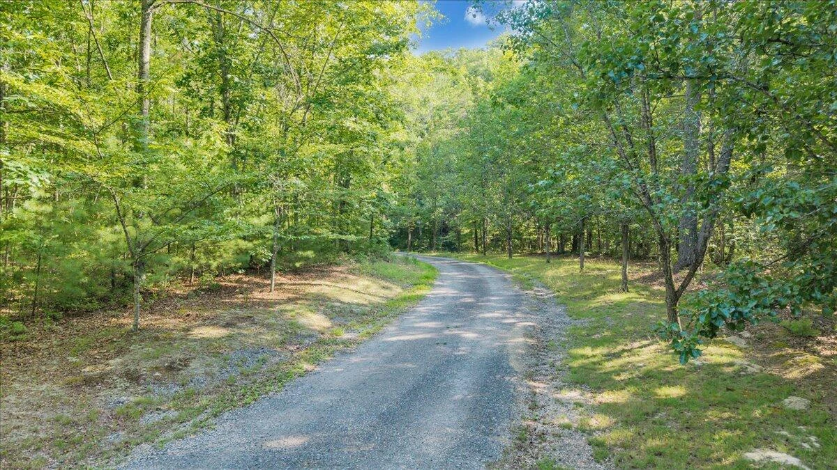 109 Blueberry Hill - Photo 80
