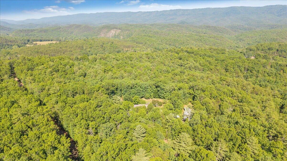 109 Blueberry Hill - Photo 82