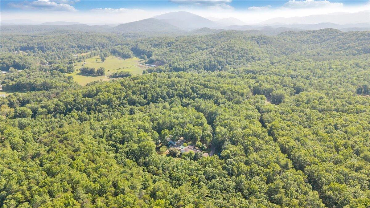 109 Blueberry Hill - Photo 83