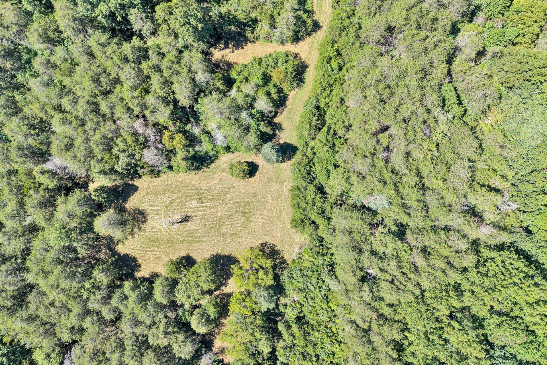 899 Orrix Creek RD - Photo 60
