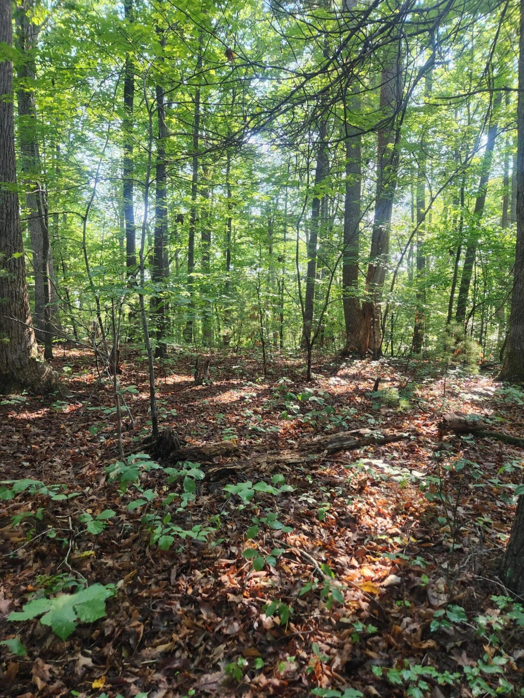 0 Otter DR - Photo 3