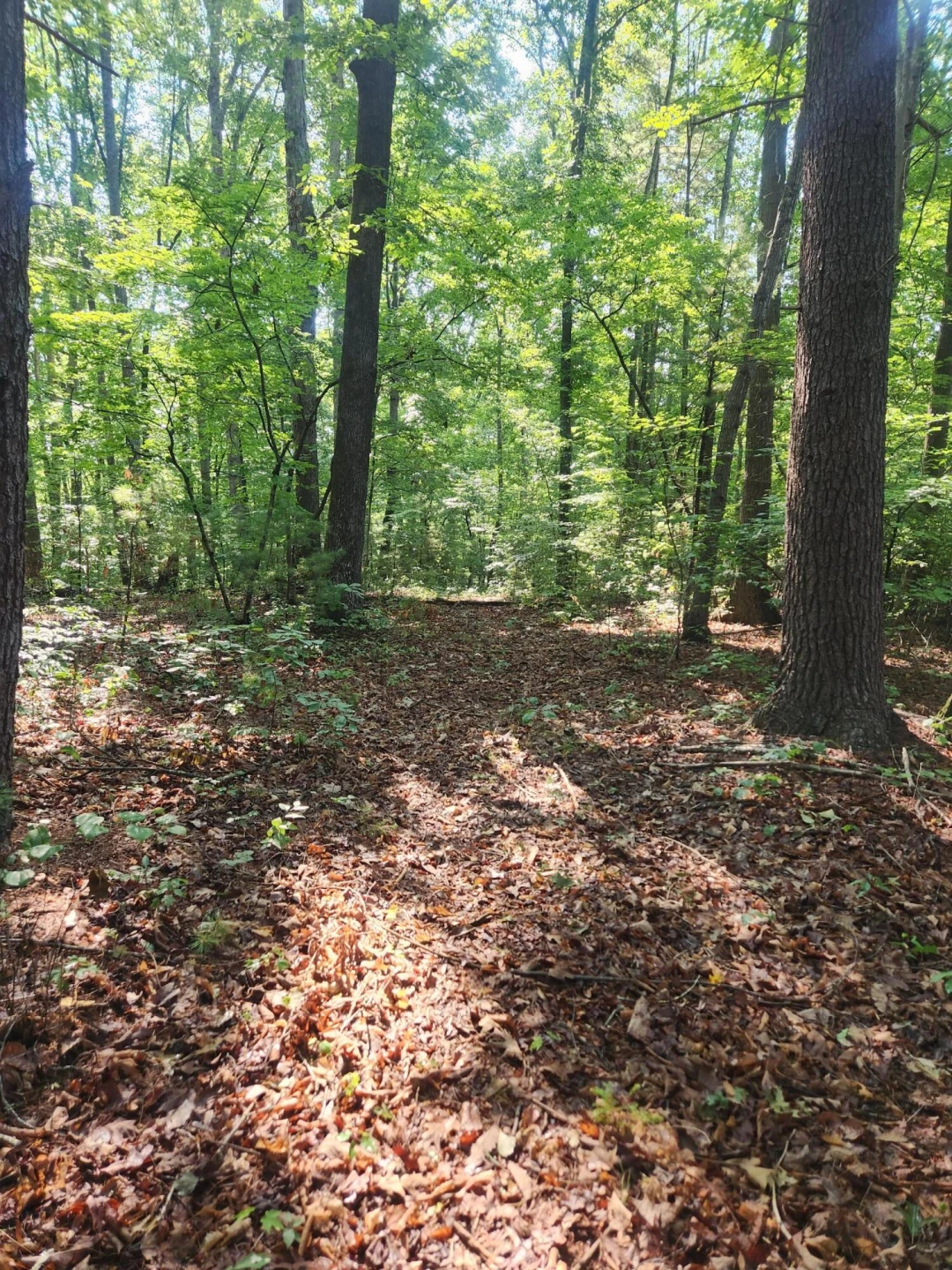 0 Otter DR - Photo 5