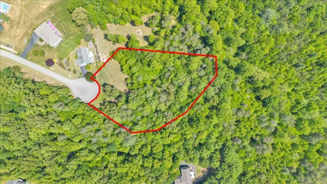 Lot 13 Independence LN, Wirtz, VA, 24184