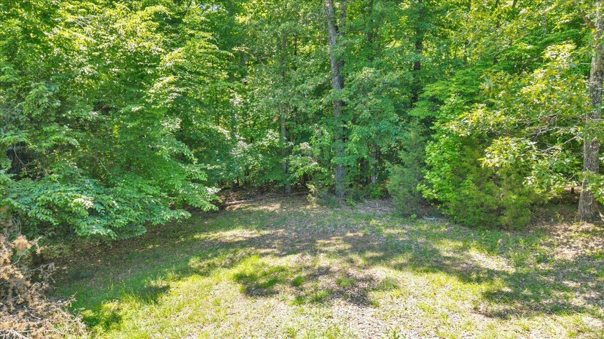 Lot 13 Independence LN - Photo 10