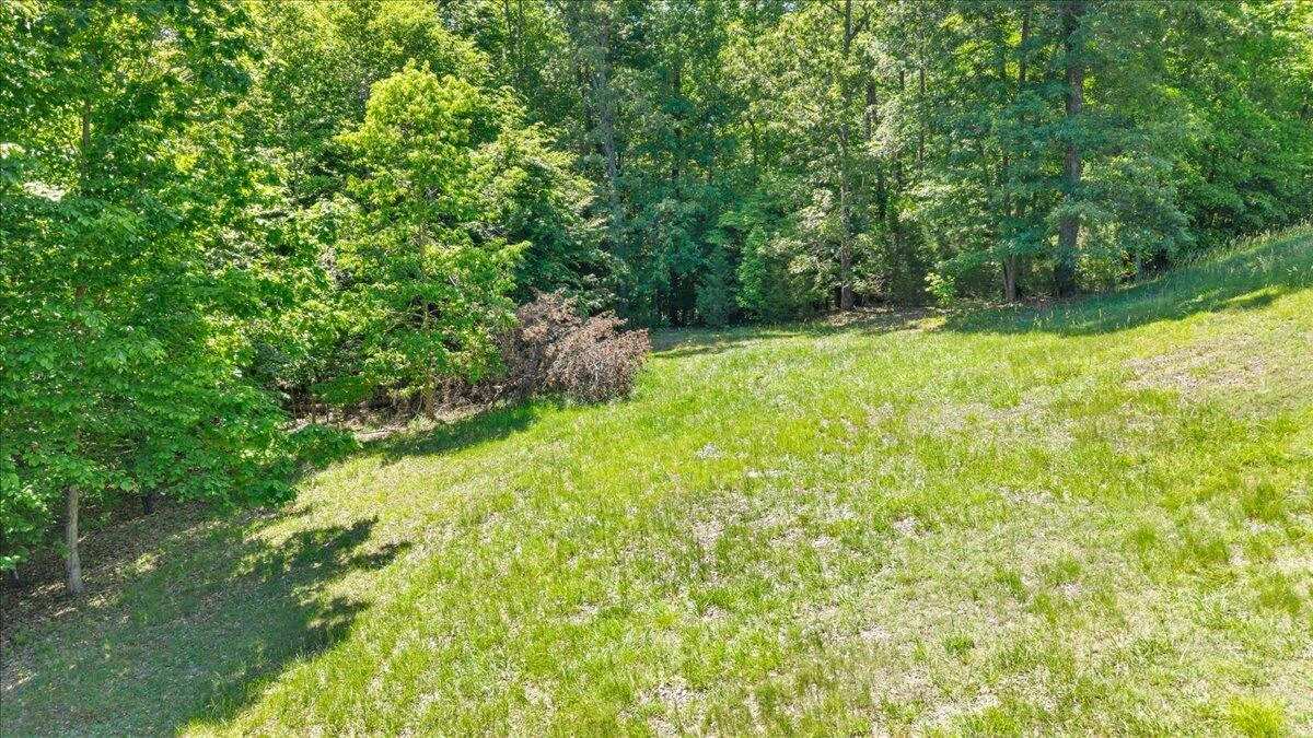 Lot 13 Independence LN - Photo 11