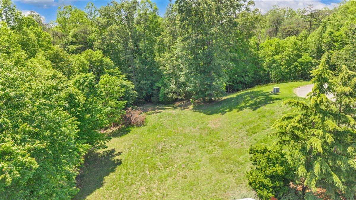 Lot 13 Independence LN - Photo 12