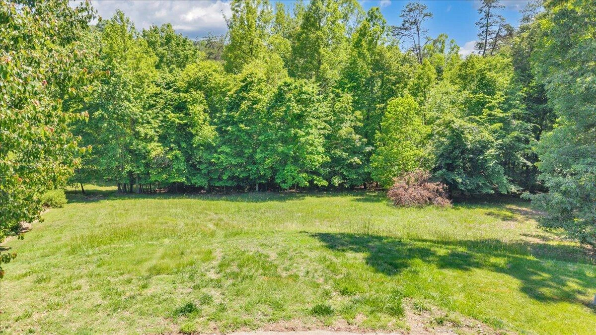 Lot 13 Independence LN - Photo 13