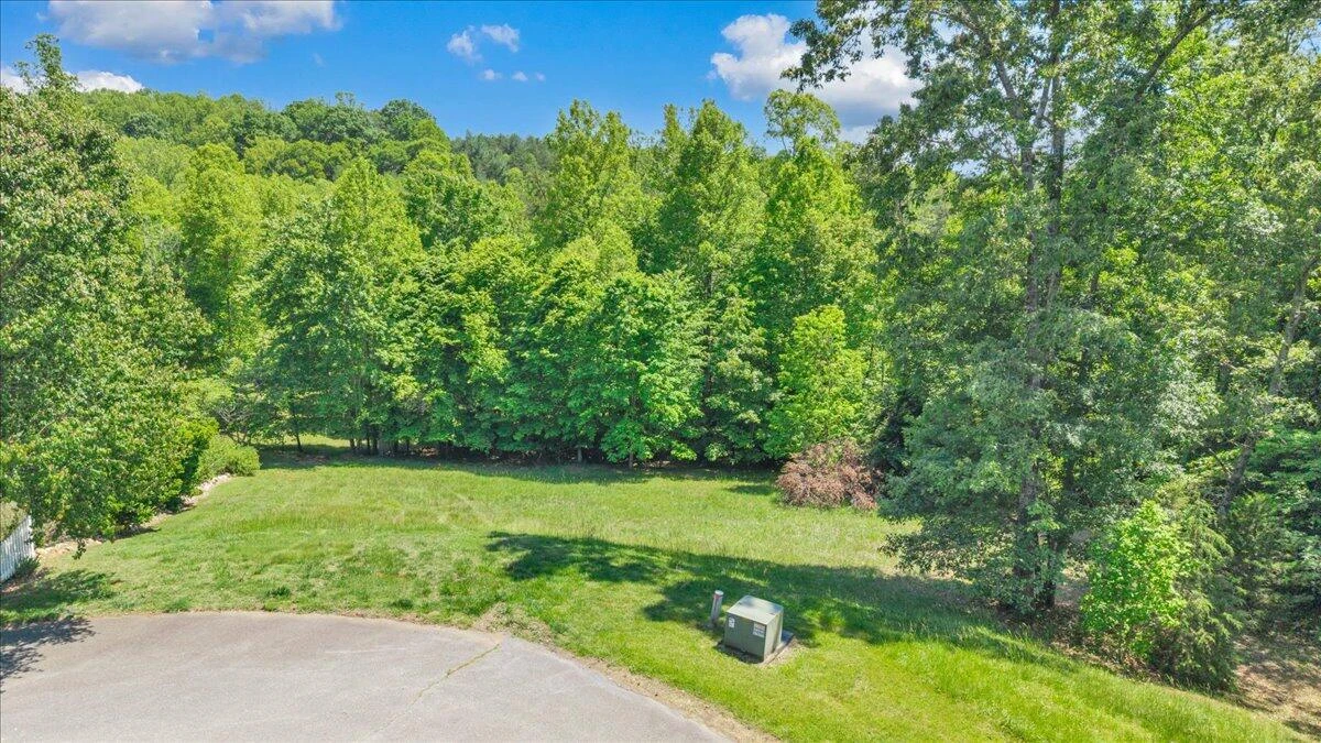 Lot 13 Independence LN - Photo 14
