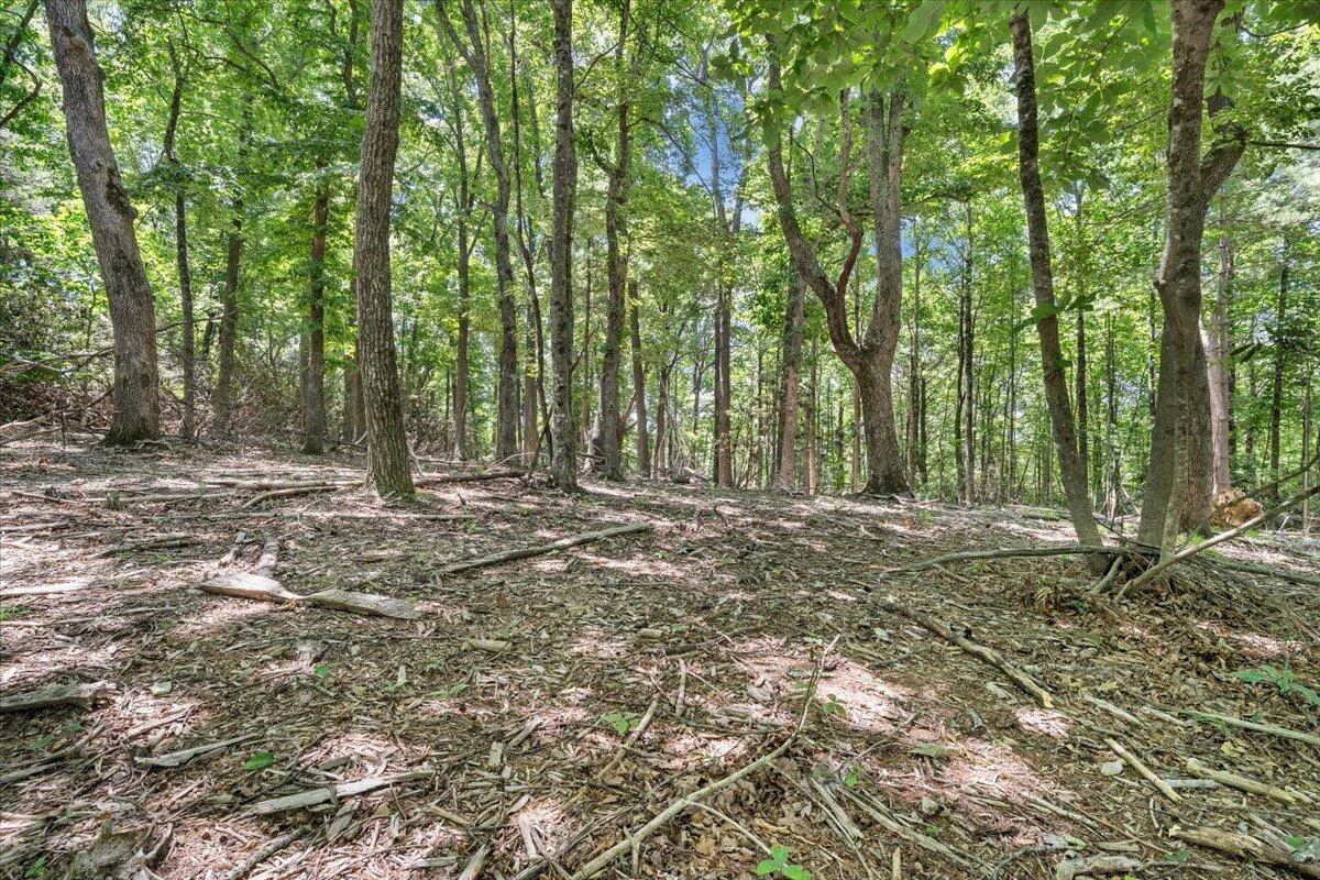 TBD Dogwood Ridge - Photo 10