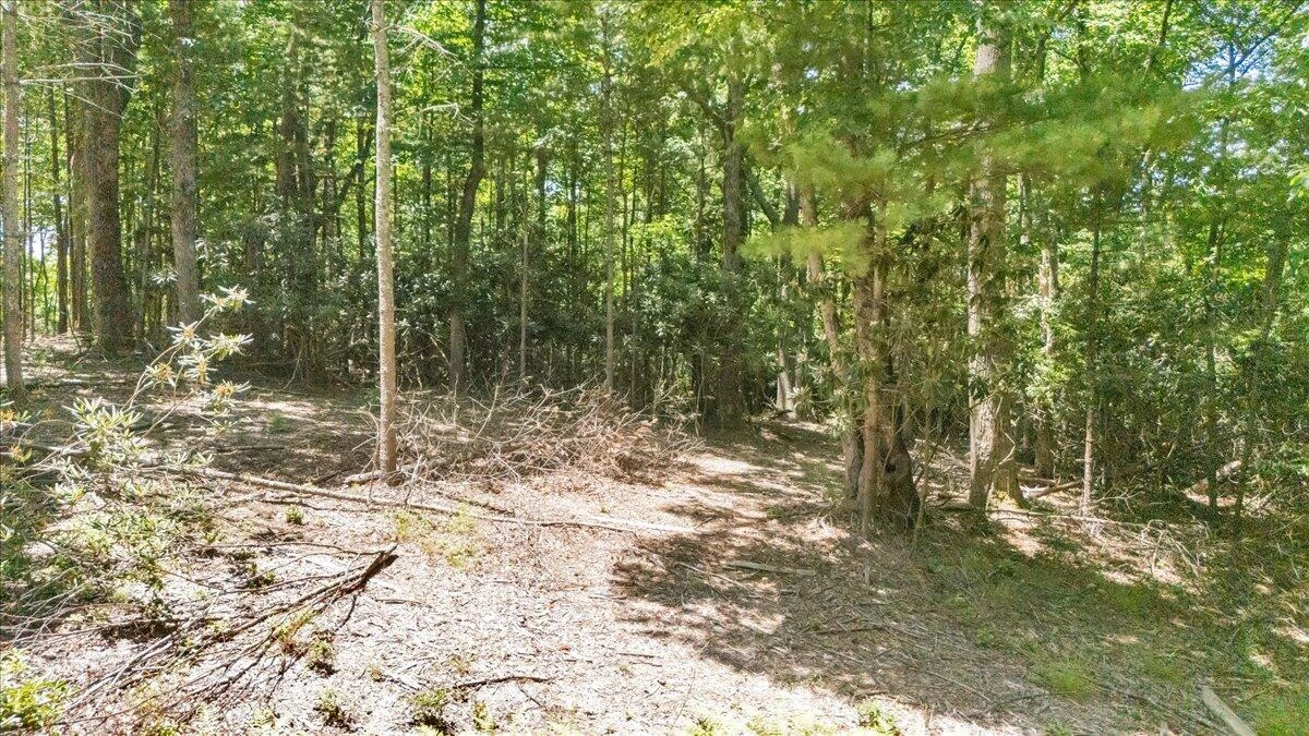 TBD Dogwood Ridge - Photo 11