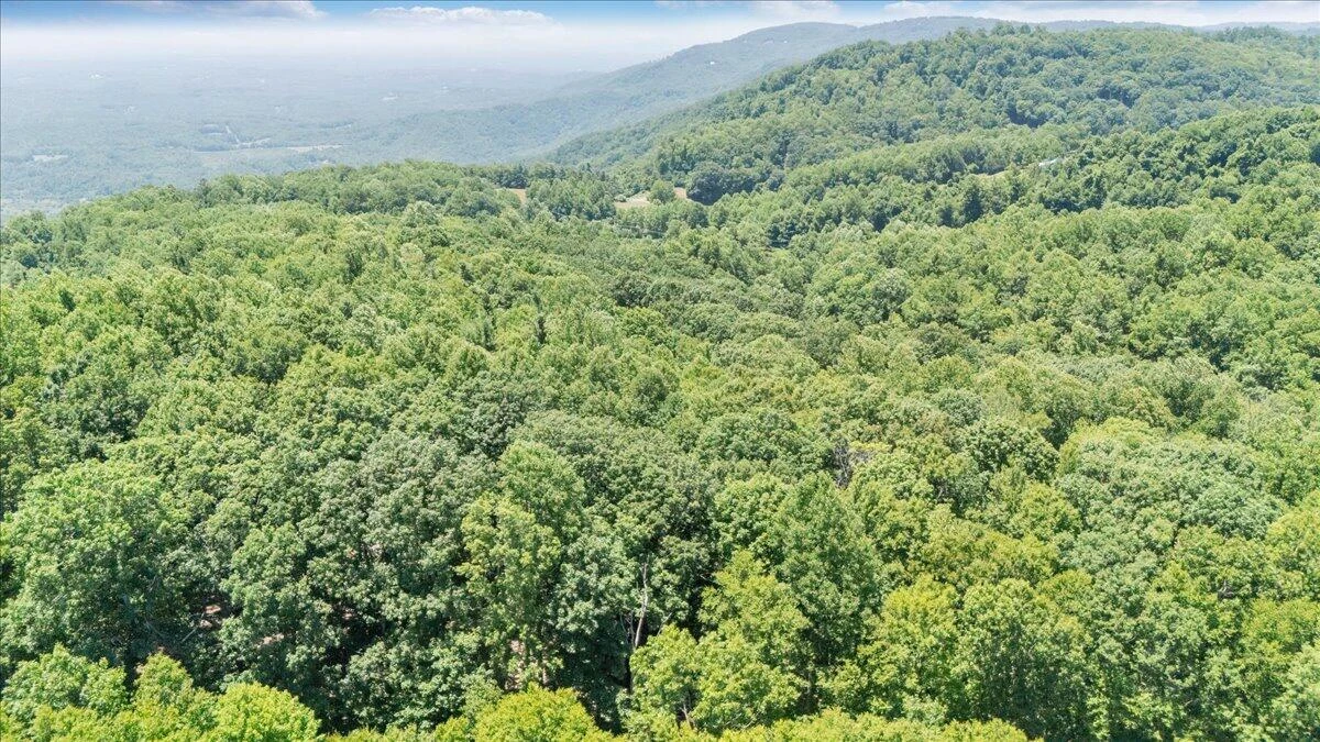 TBD Dogwood Ridge - Photo 12