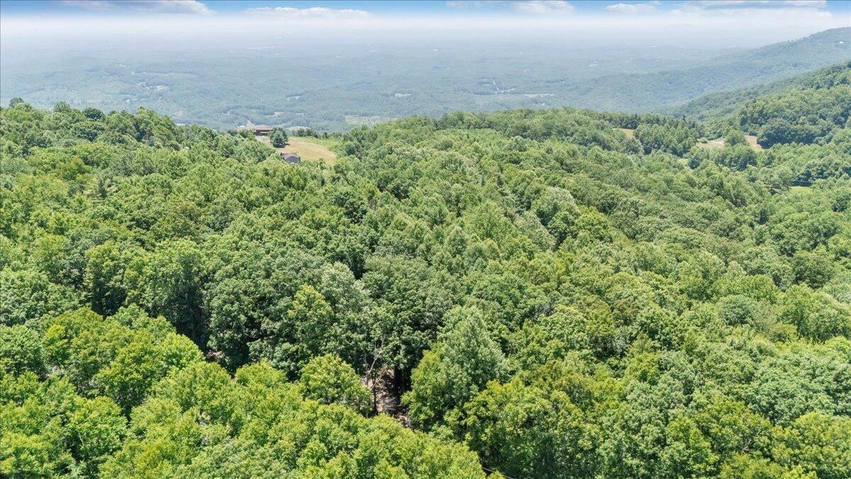 TBD Dogwood Ridge - Photo 13