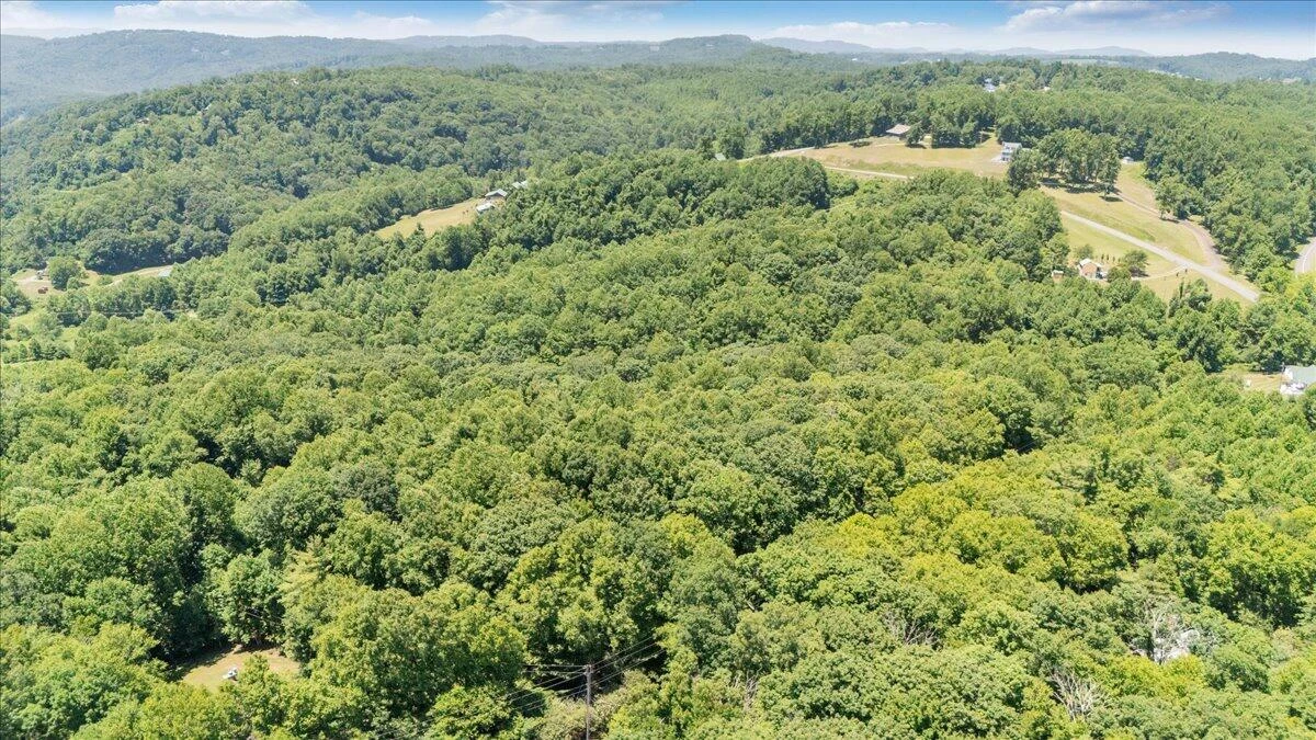 TBD Dogwood Ridge - Photo 19