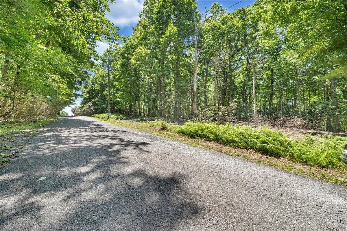 TBD Dogwood Ridge - Photo 3