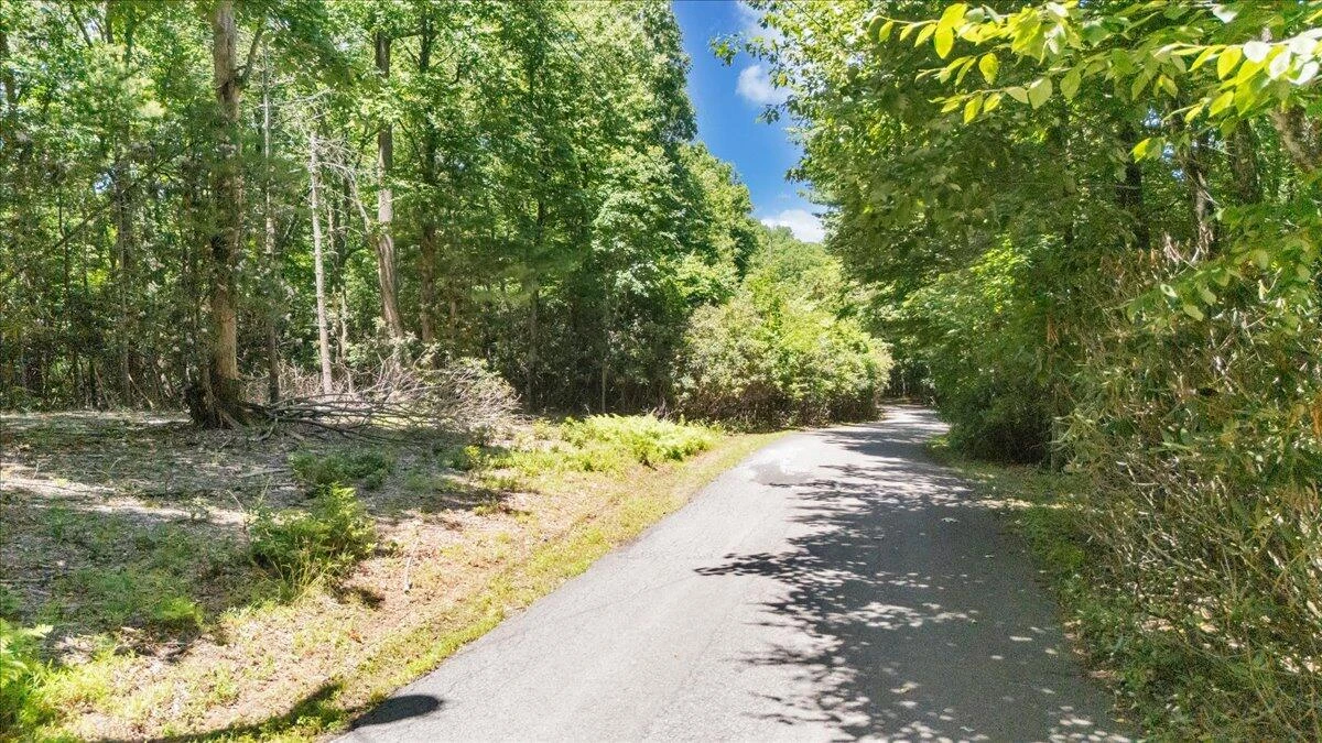 TBD Dogwood Ridge - Photo 4
