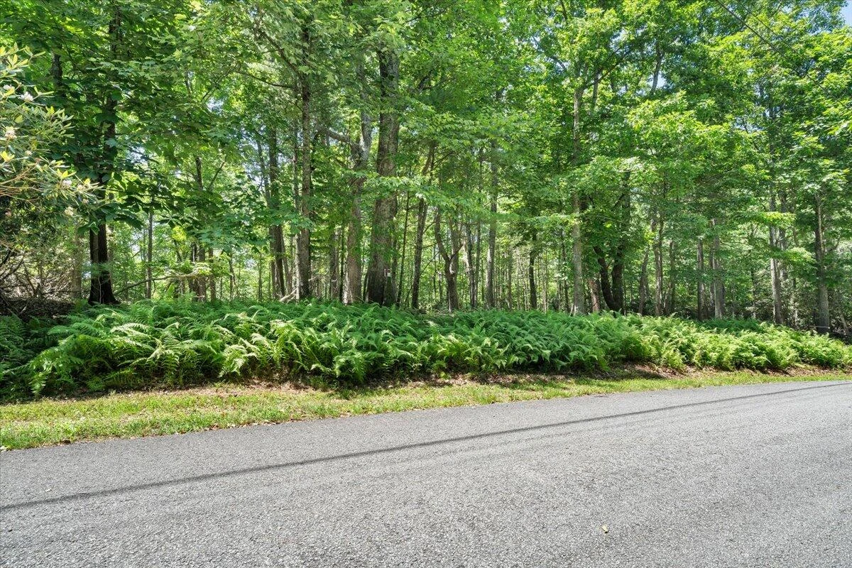 TBD Dogwood Ridge - Photo 5