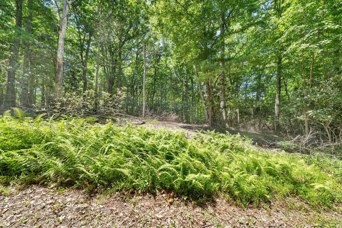 TBD Dogwood Ridge - Photo 6