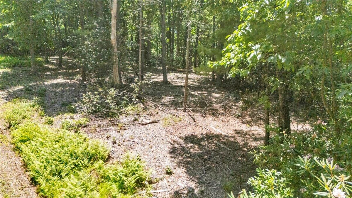 TBD Dogwood Ridge - Photo 7