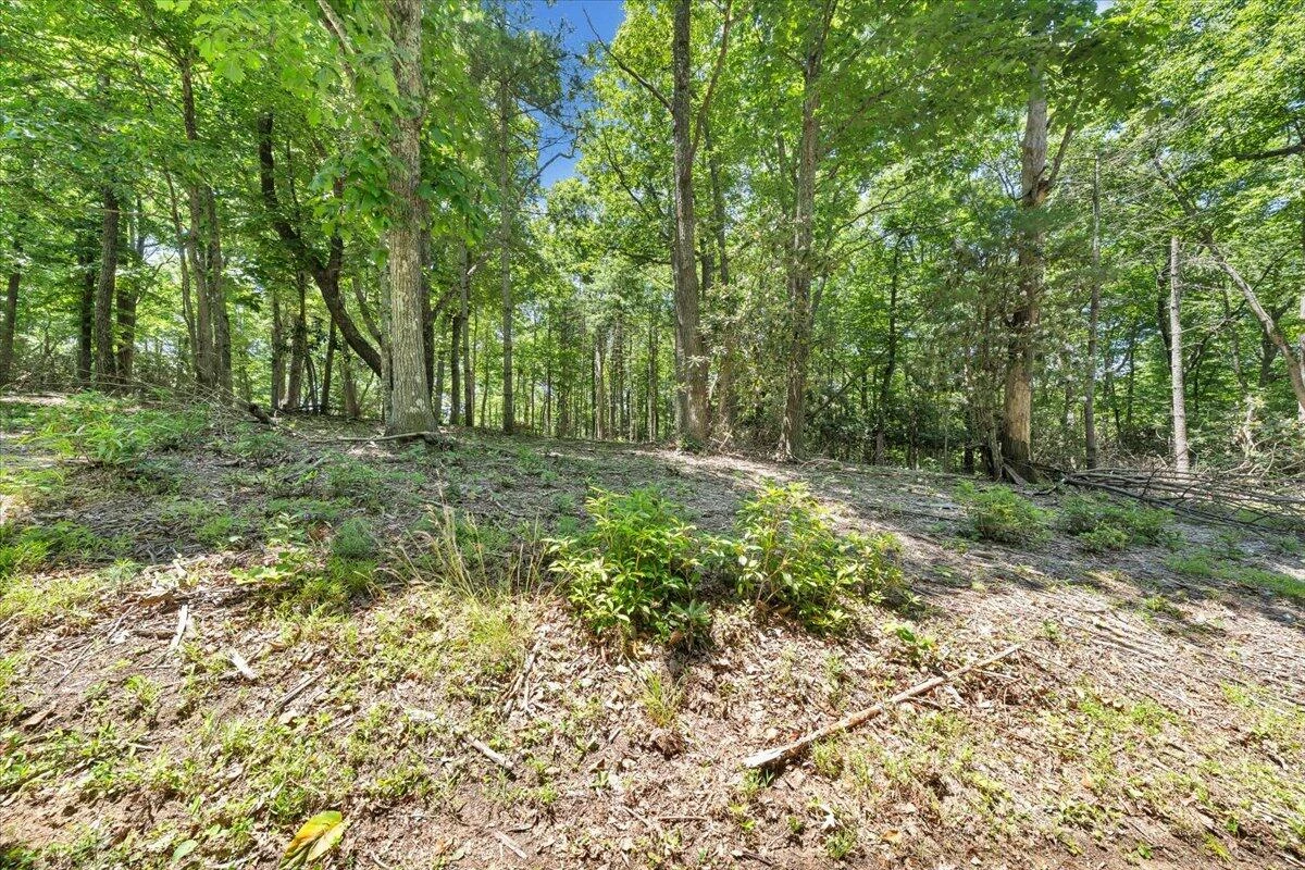 TBD Dogwood Ridge - Photo 8