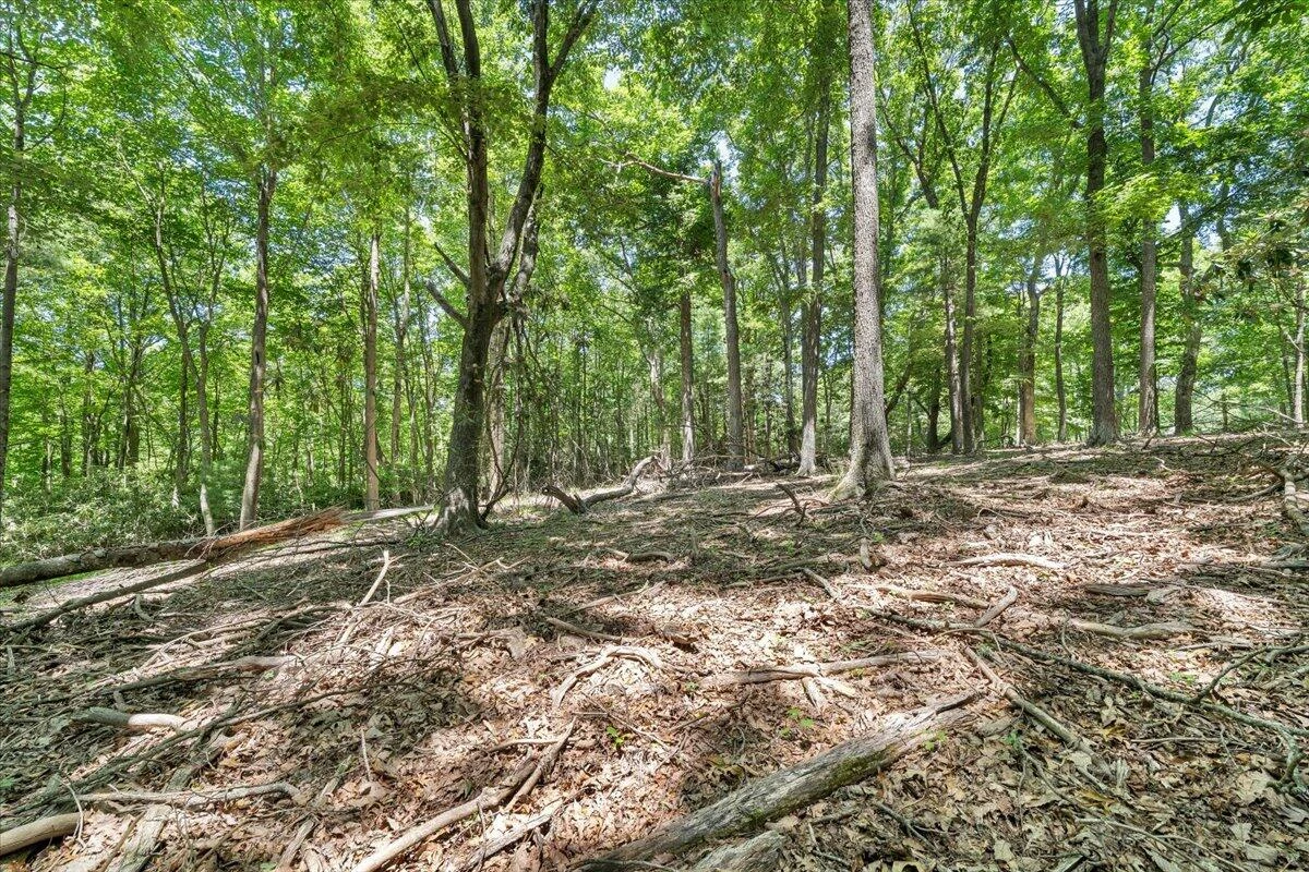 TBD Dogwood Ridge - Photo 9