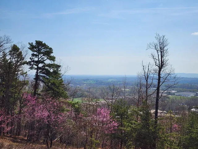 Lot 44 Summit DR, Rocky Mount, VA, 24151