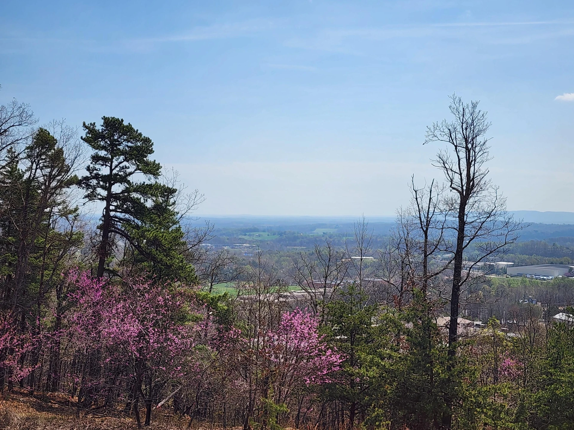 Lot 44 Summit DR