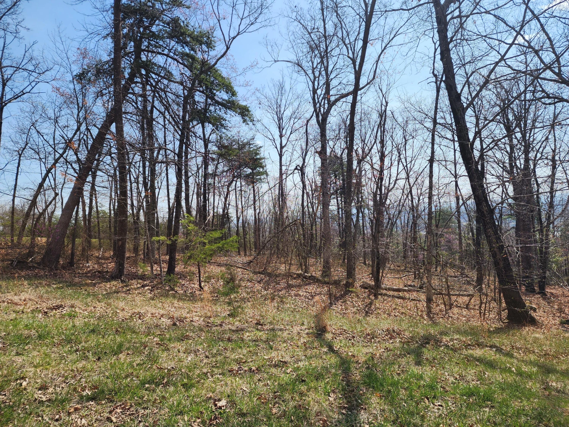 Lot 44 Summit DR - Photo 2