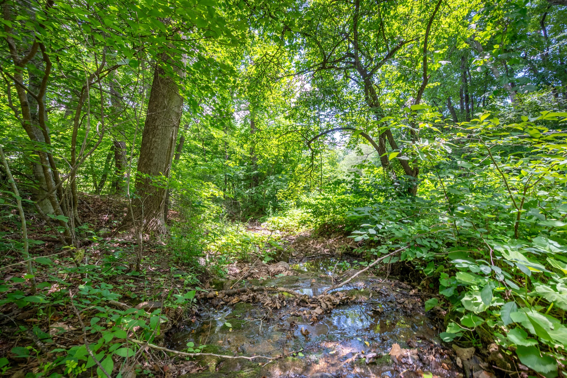 68 Paradise LN - Photo 100