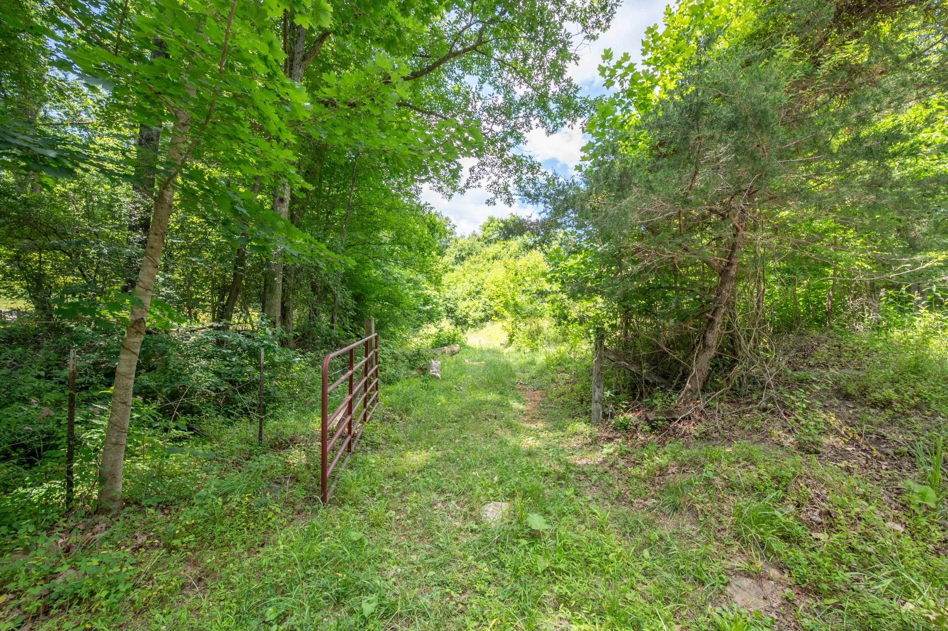 68 Paradise LN - Photo 101