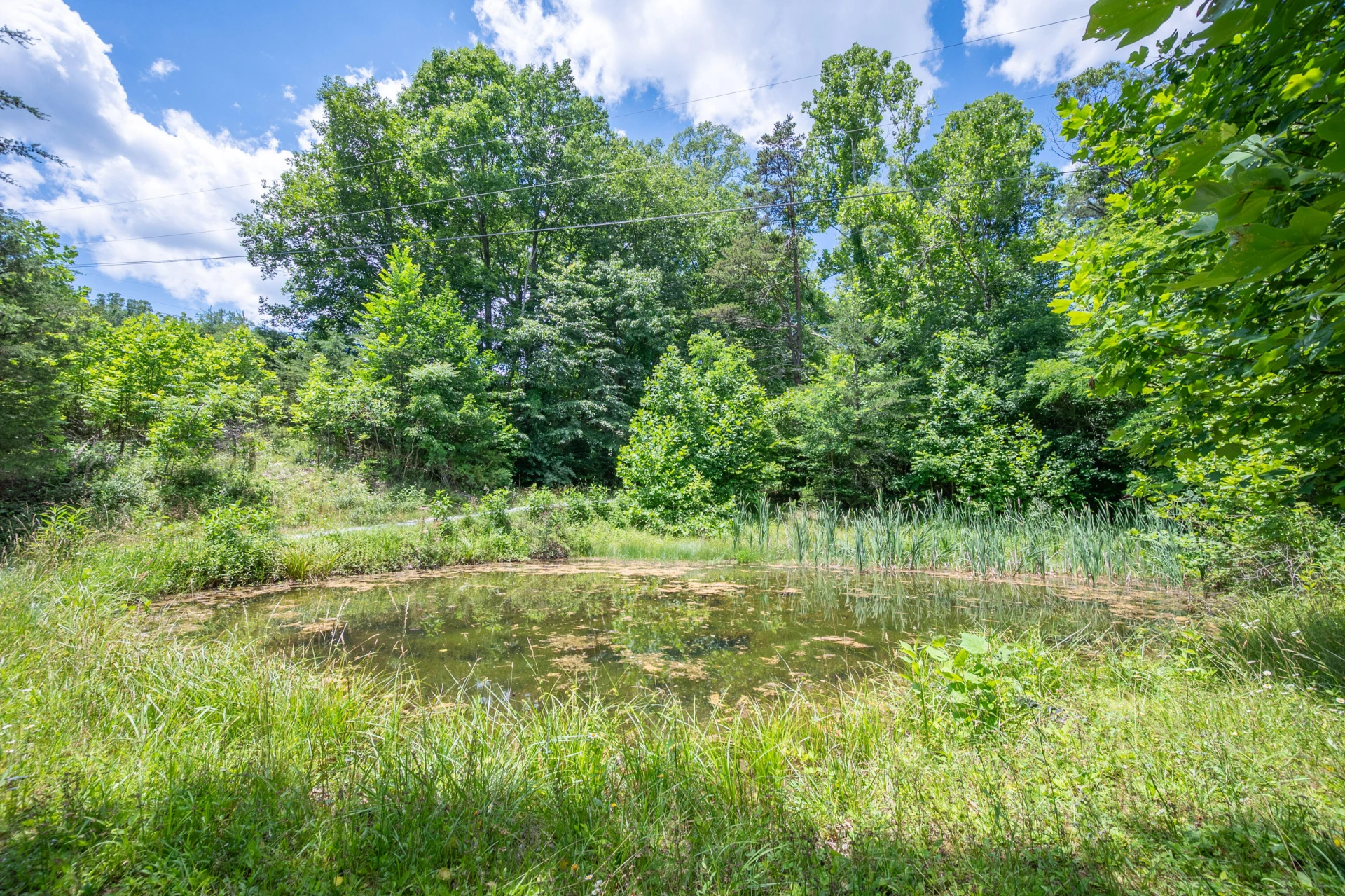 68 Paradise LN - Photo 102