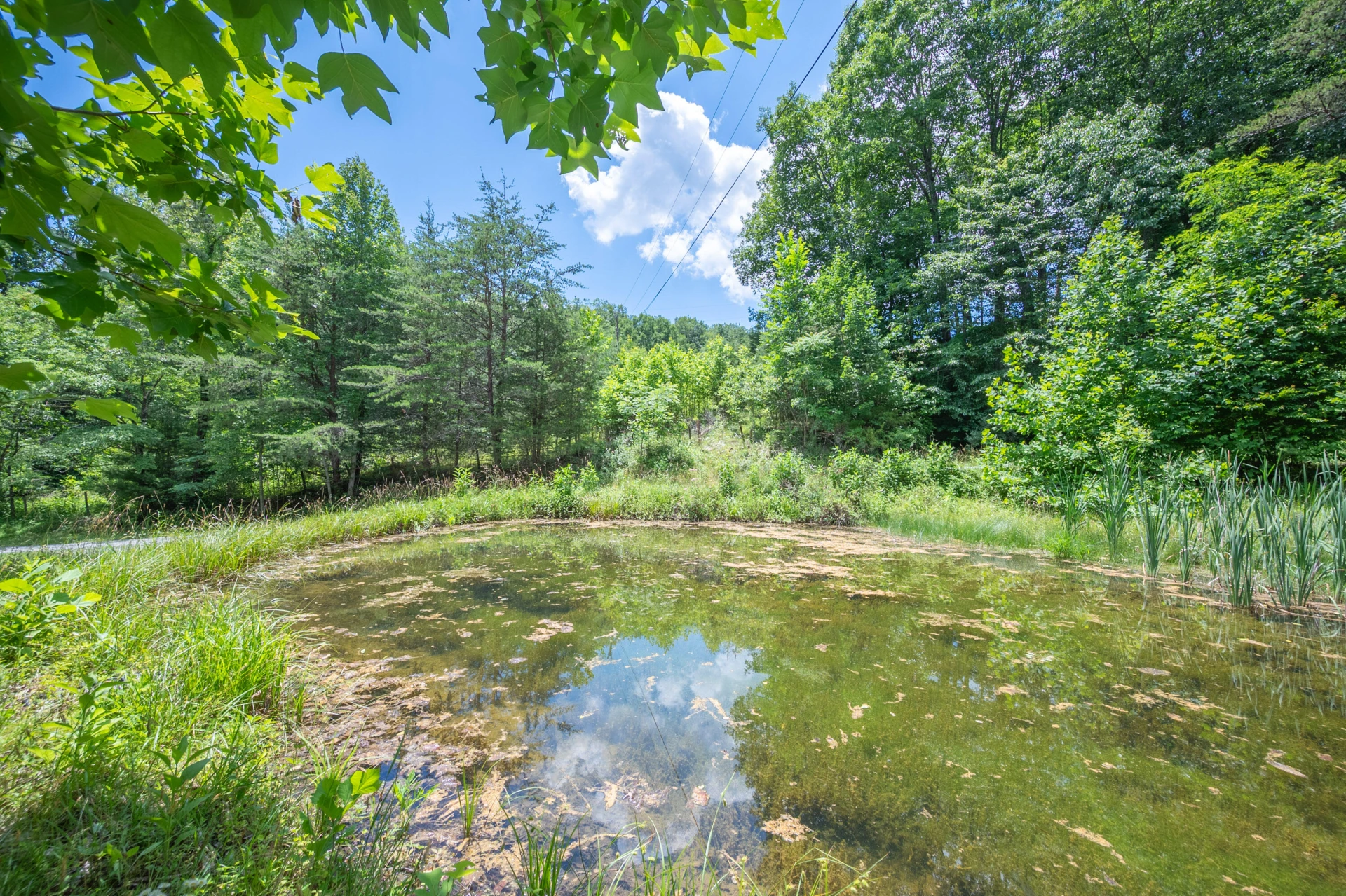 68 Paradise LN - Photo 103