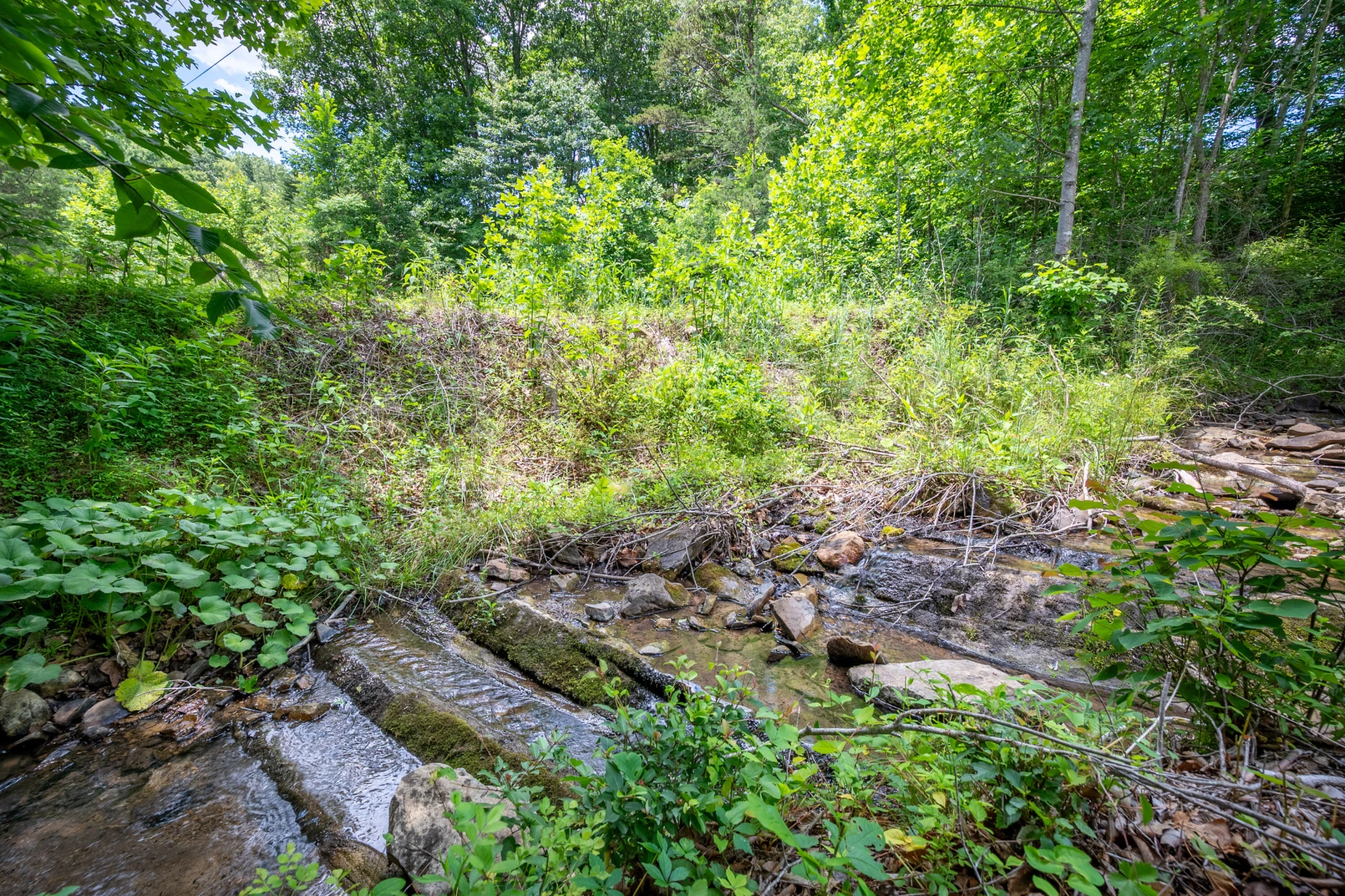 68 Paradise LN - Photo 106