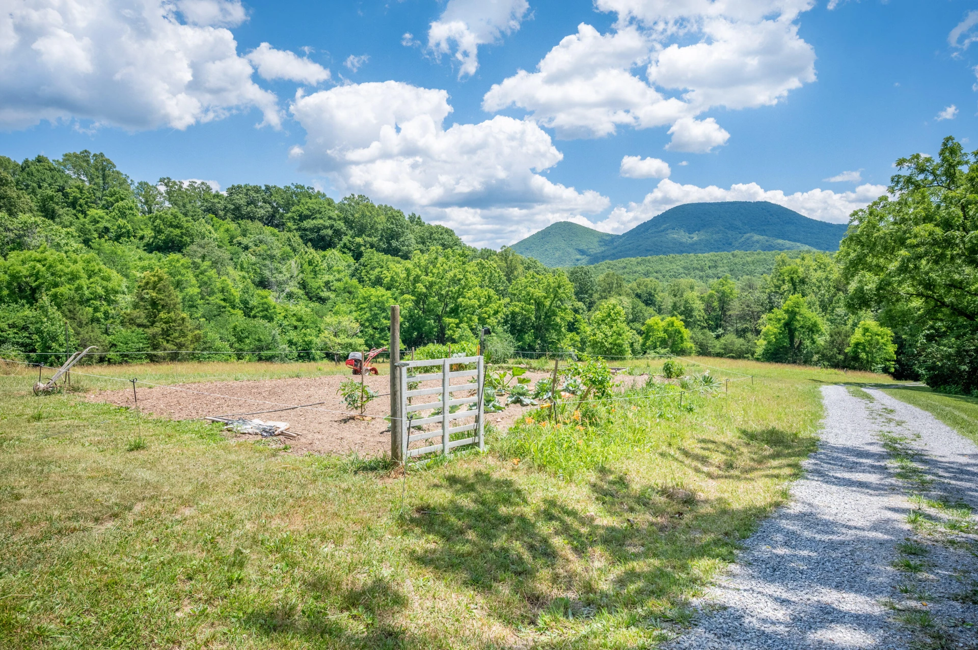 68 Paradise LN - Photo 109