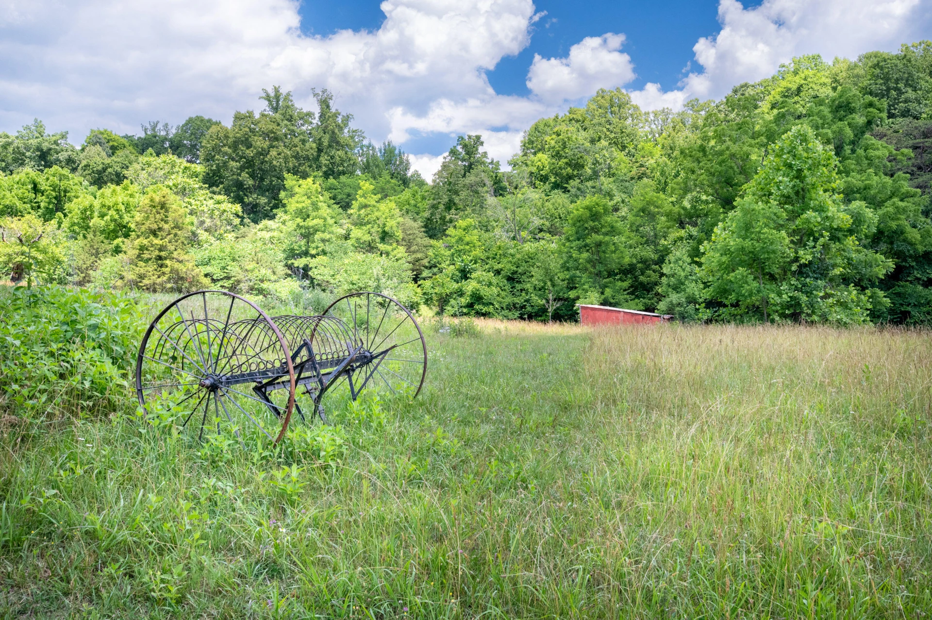 68 Paradise LN - Photo 110