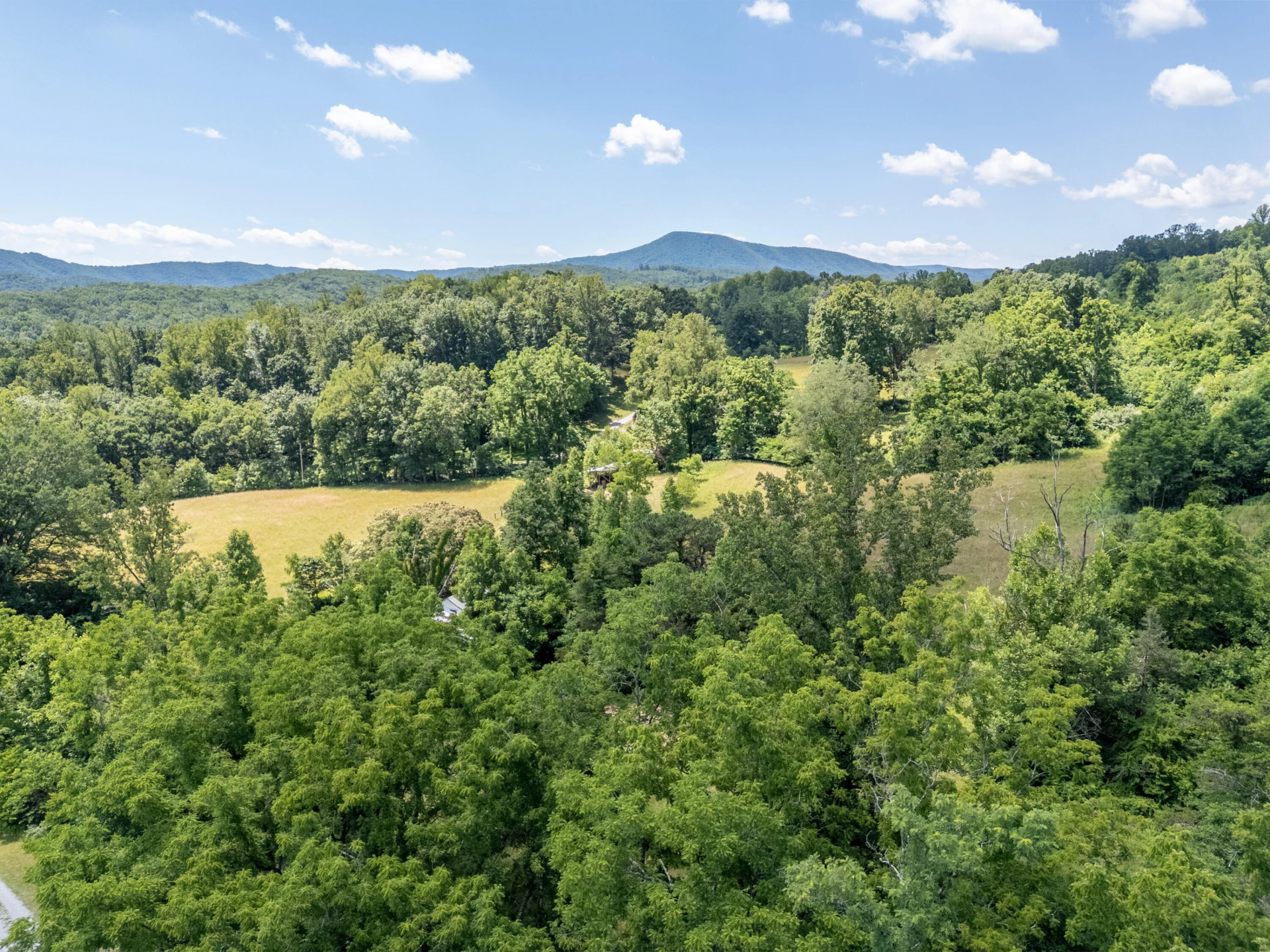 68 Paradise LN - Photo 117