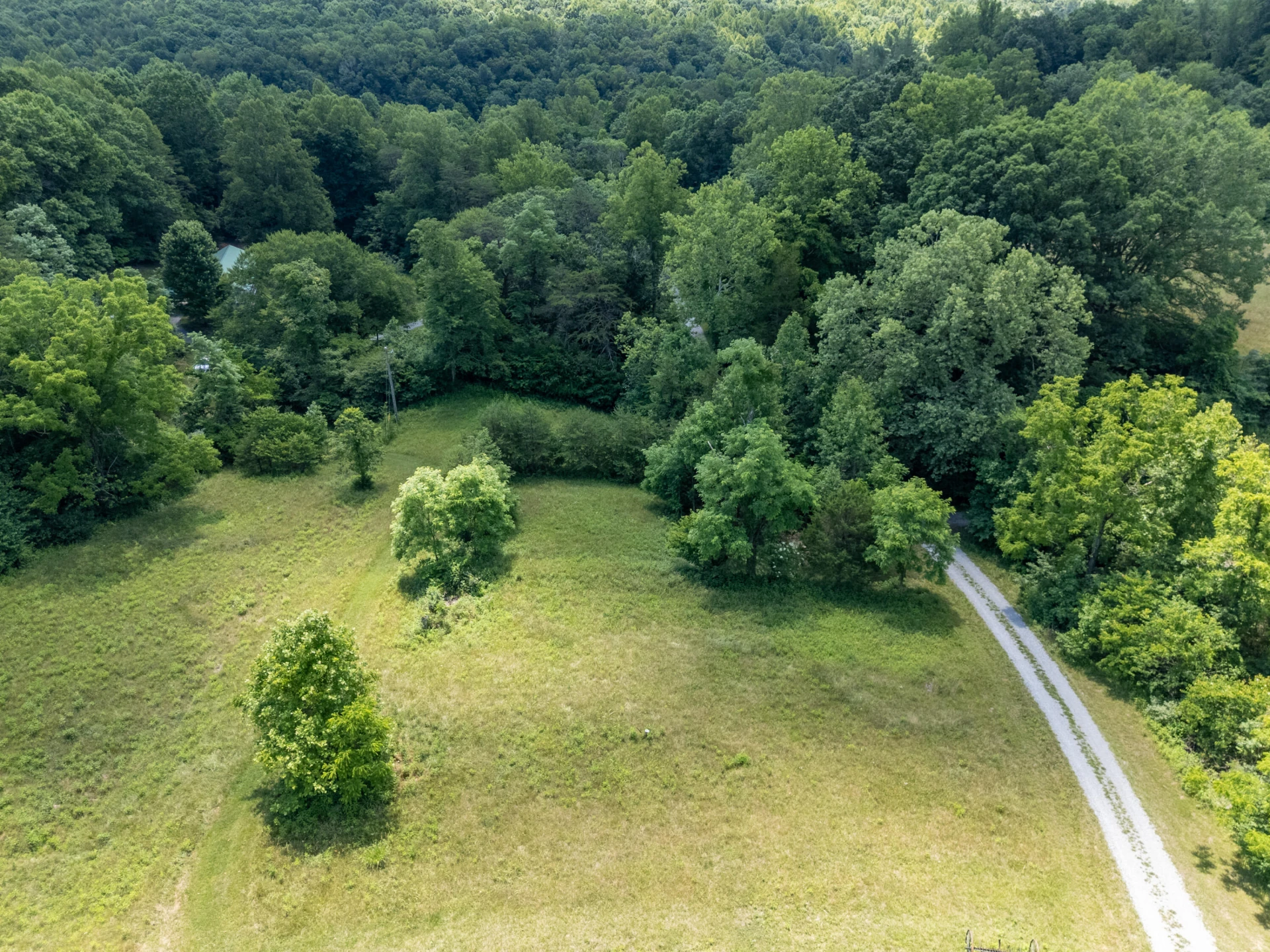 68 Paradise LN - Photo 16