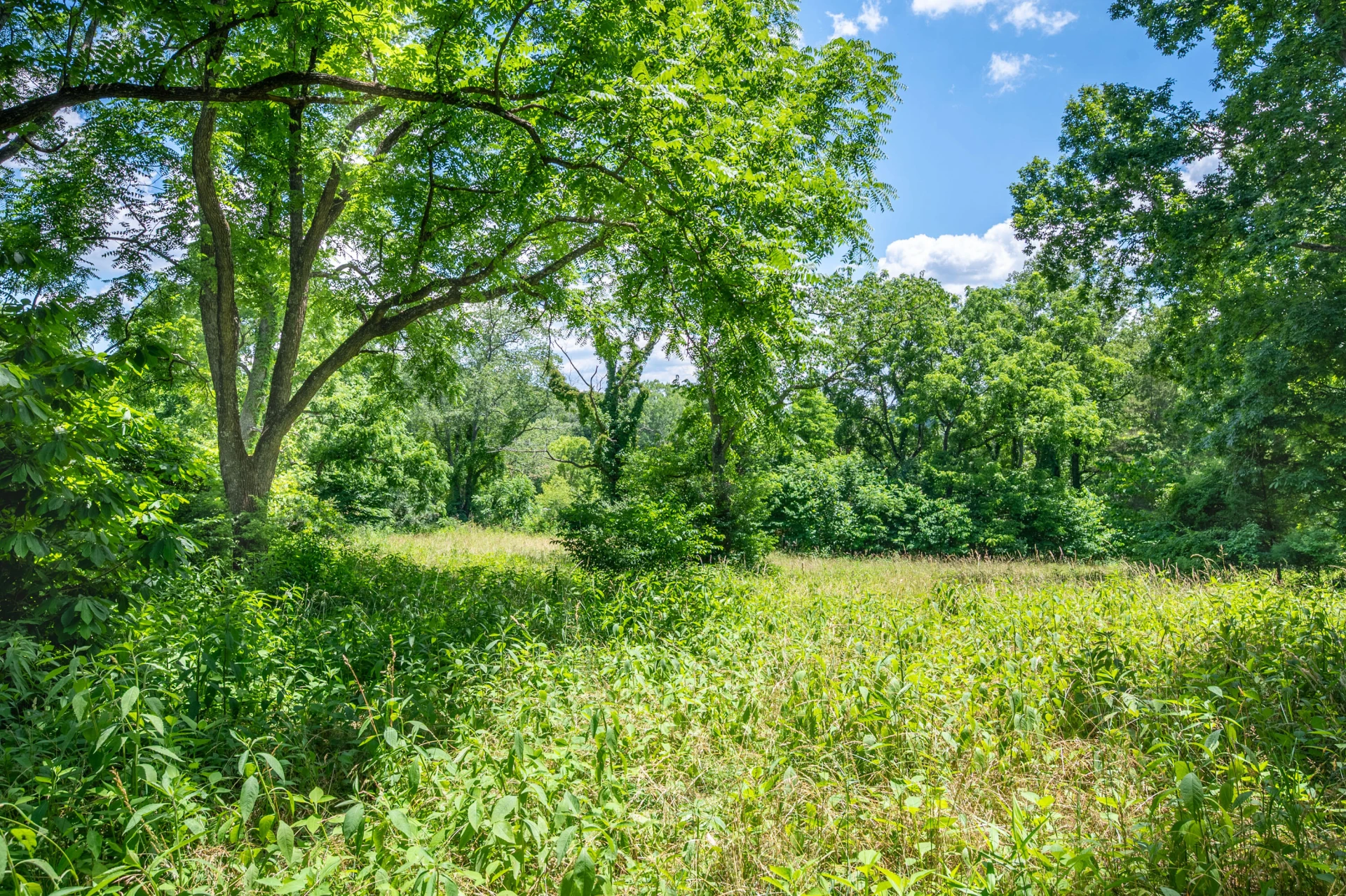 68 Paradise LN - Photo 82