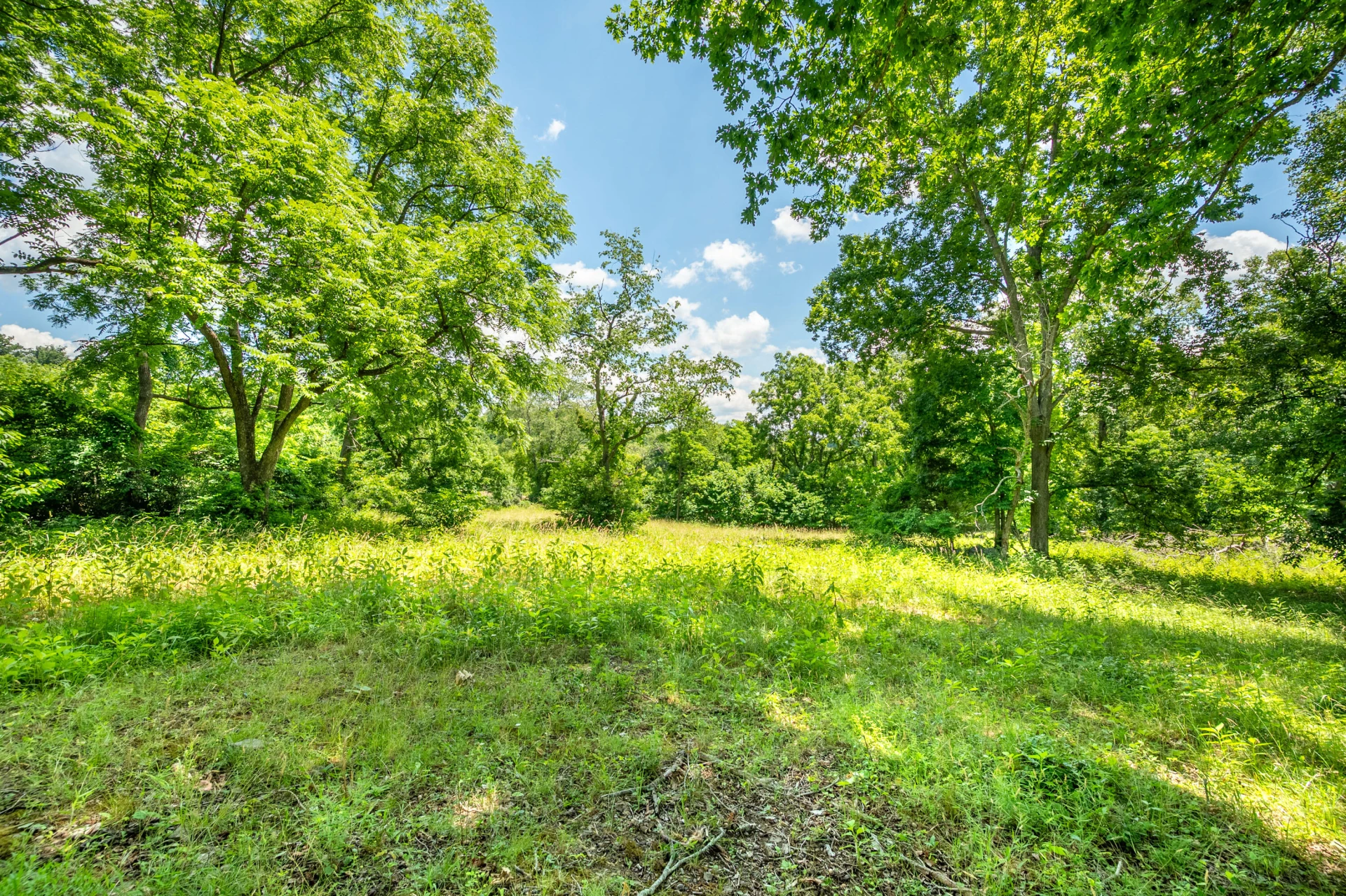 68 Paradise LN - Photo 83