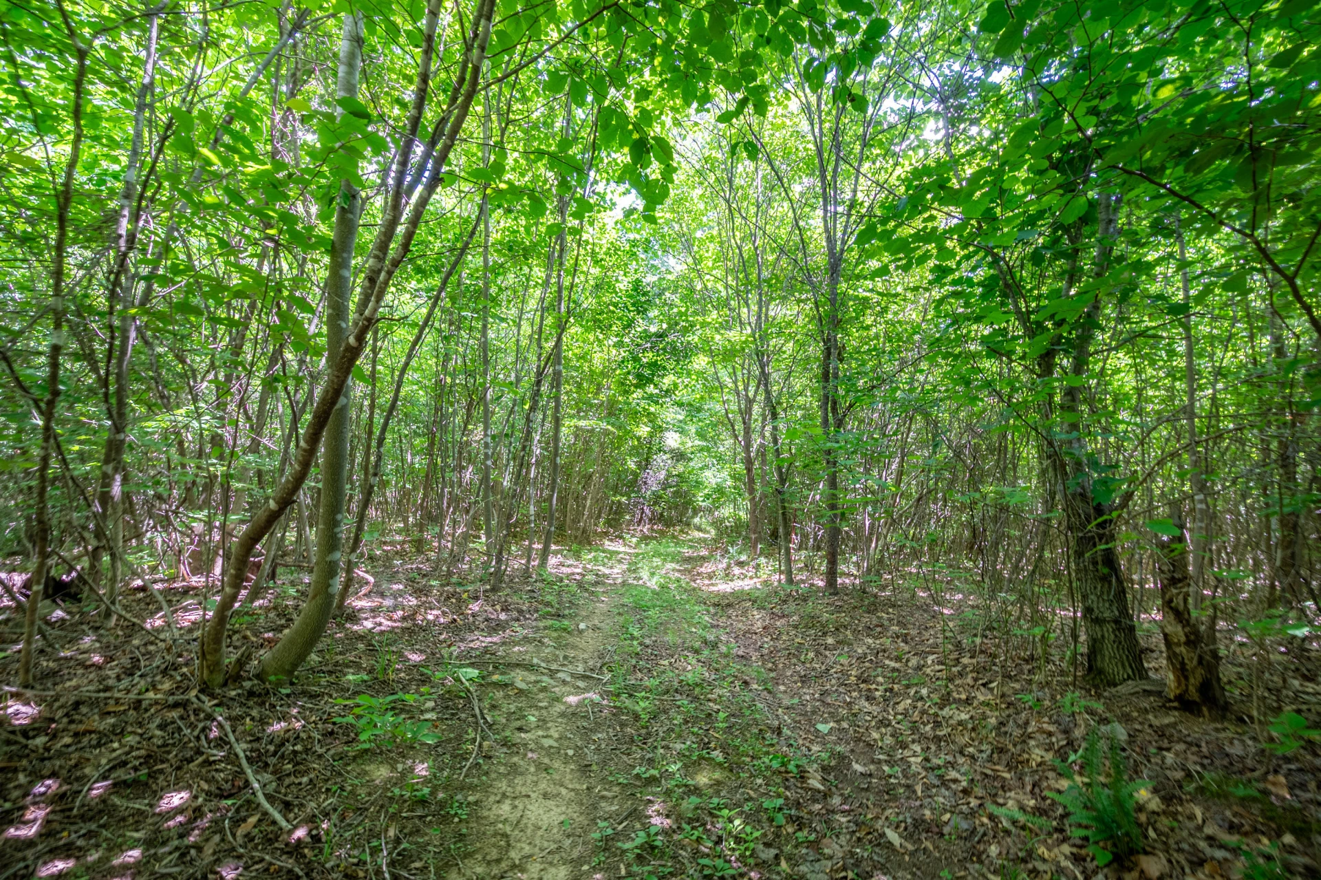 68 Paradise LN - Photo 84