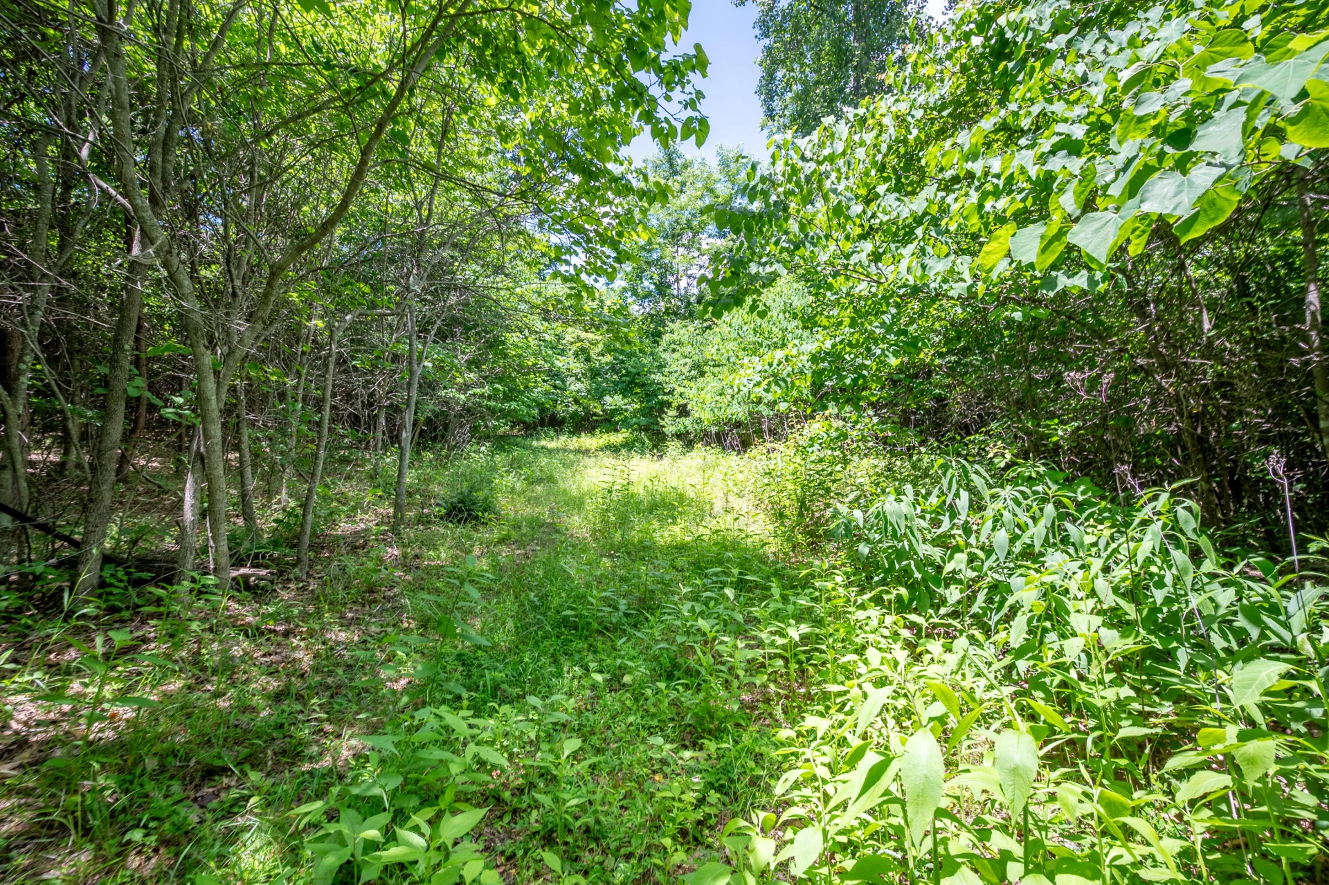 68 Paradise LN - Photo 85