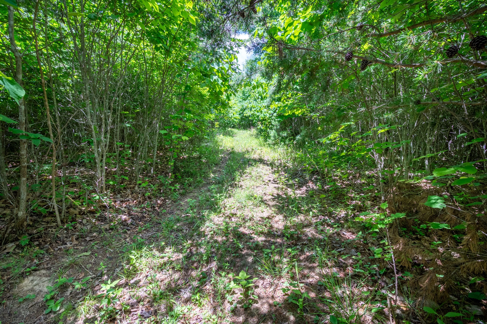 68 Paradise LN - Photo 86