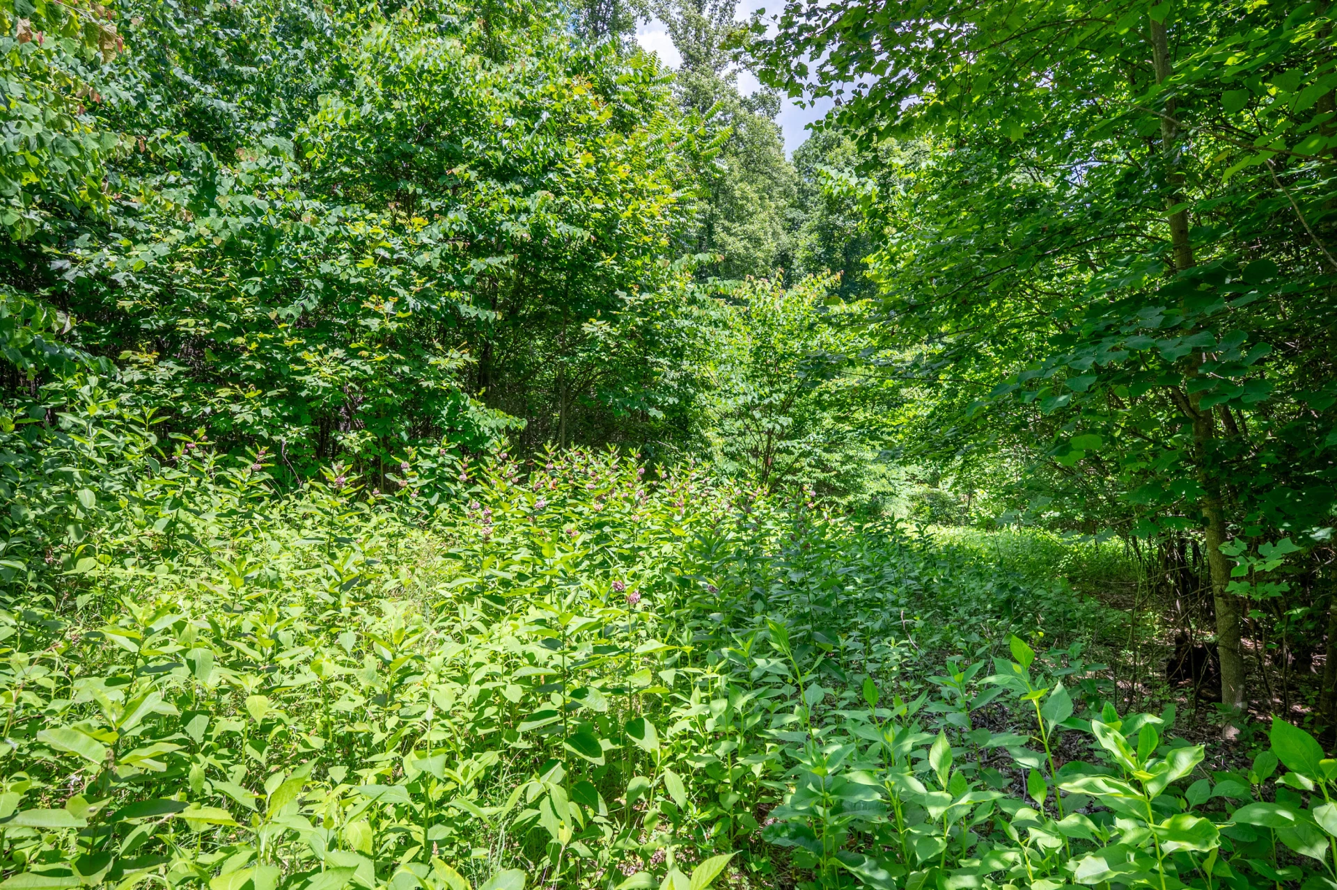 68 Paradise LN - Photo 87