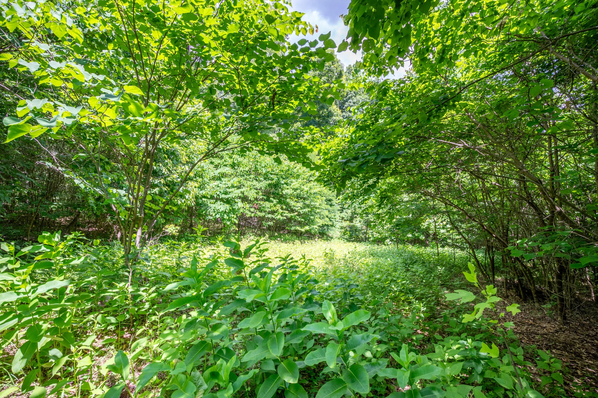 68 Paradise LN - Photo 88