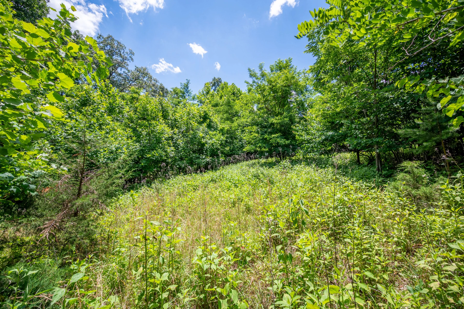68 Paradise LN - Photo 90