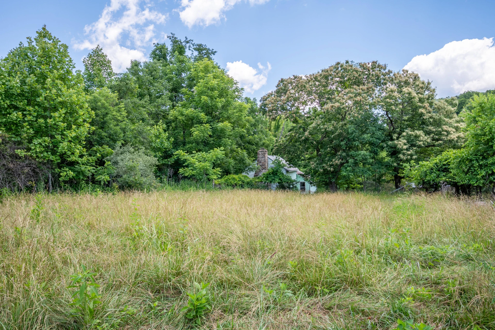 68 Paradise LN - Photo 93