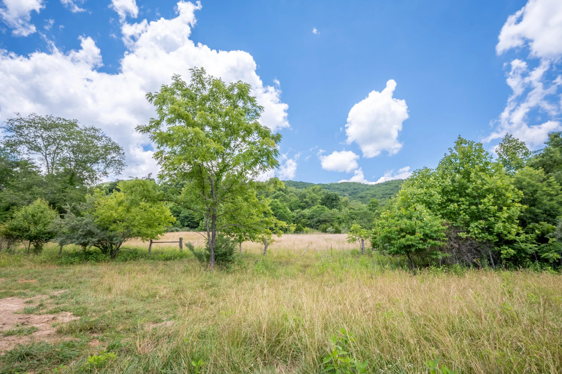 68 Paradise LN - Photo 95