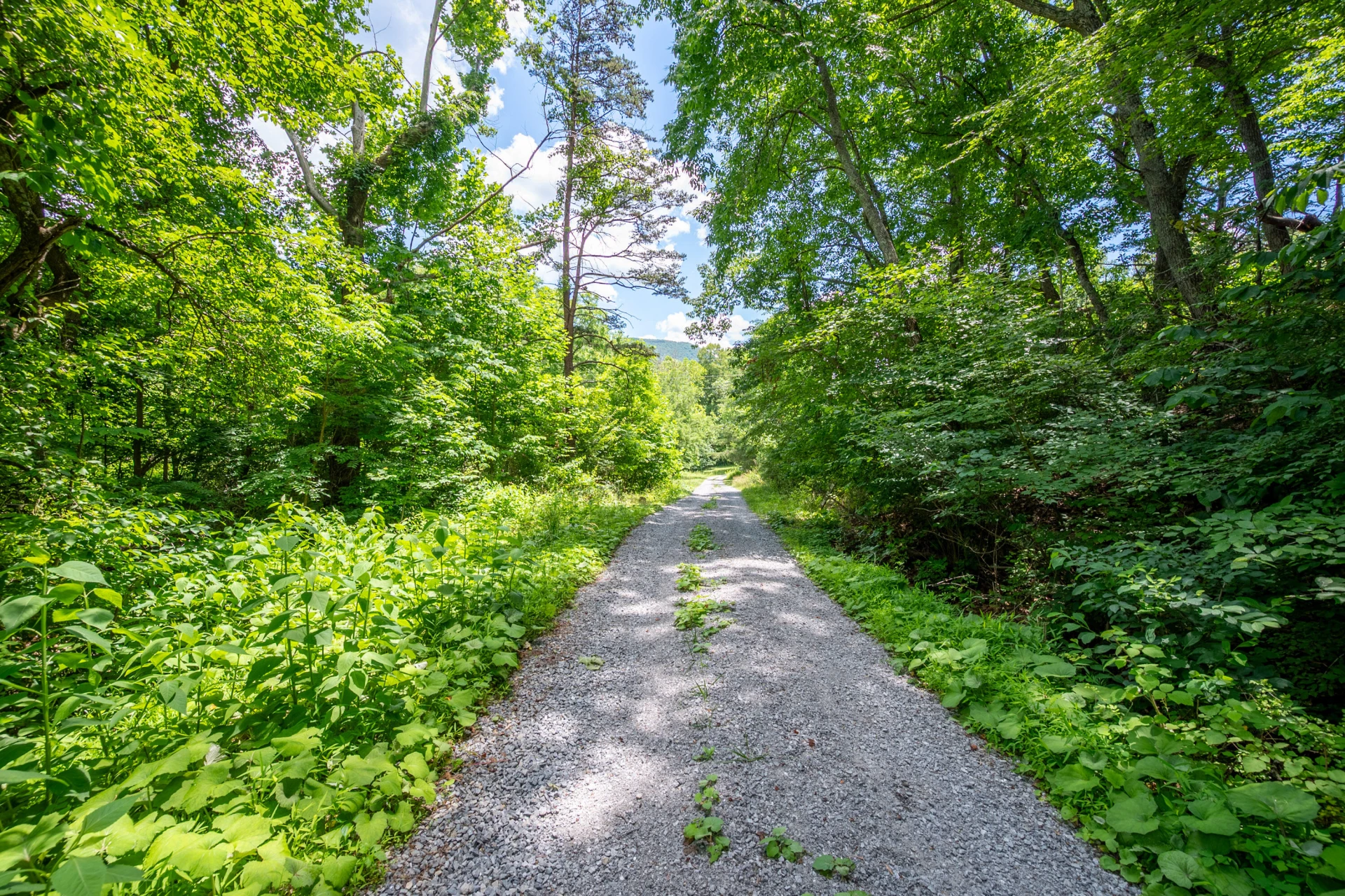 68 Paradise LN - Photo 99