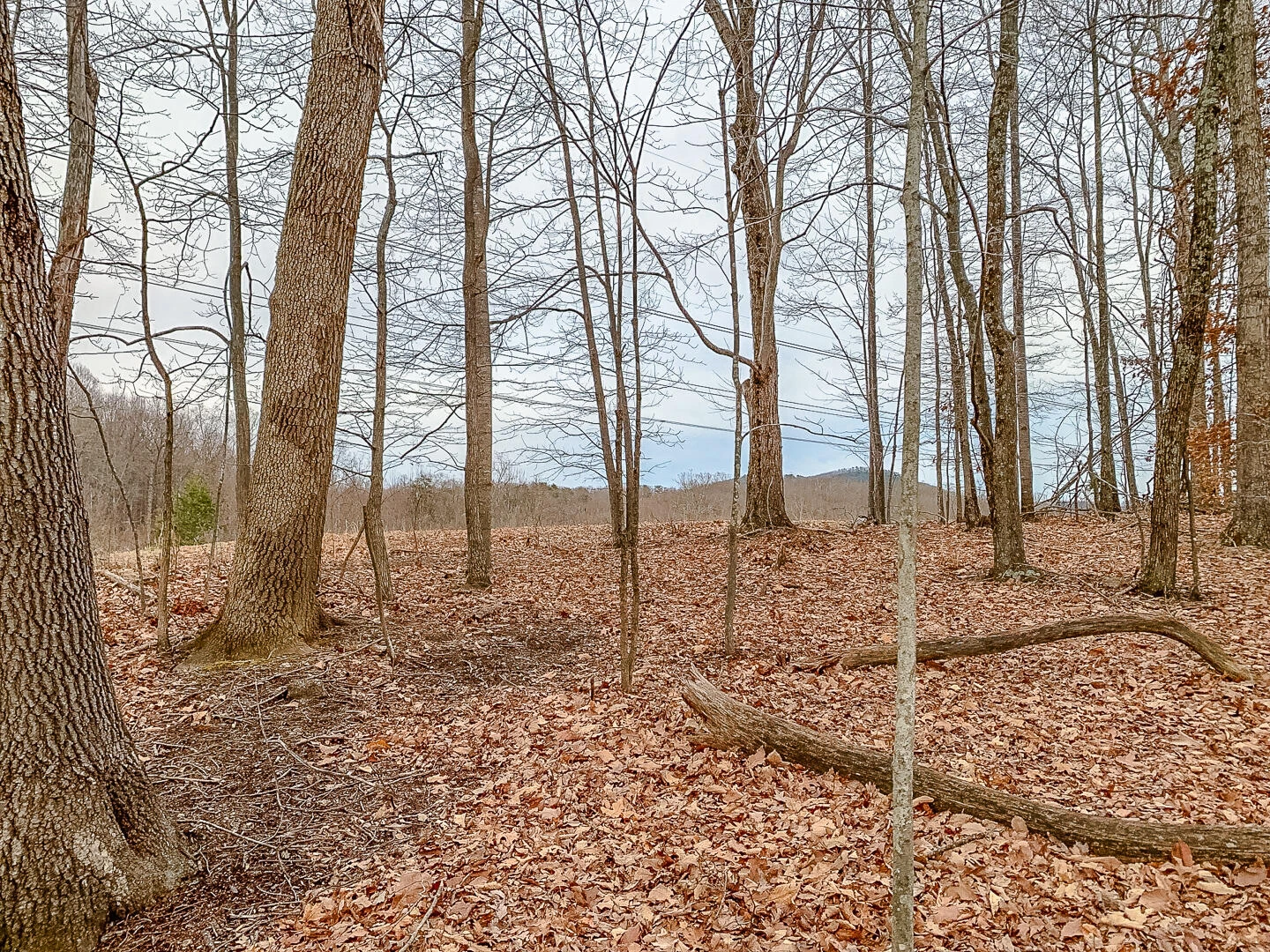 Lot 14 Autumnwood LN - Photo 10