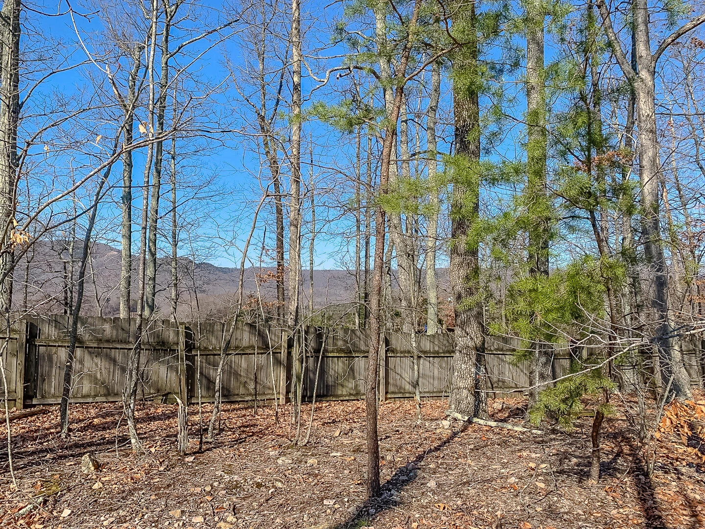 Lot 14 Autumnwood LN - Photo 12