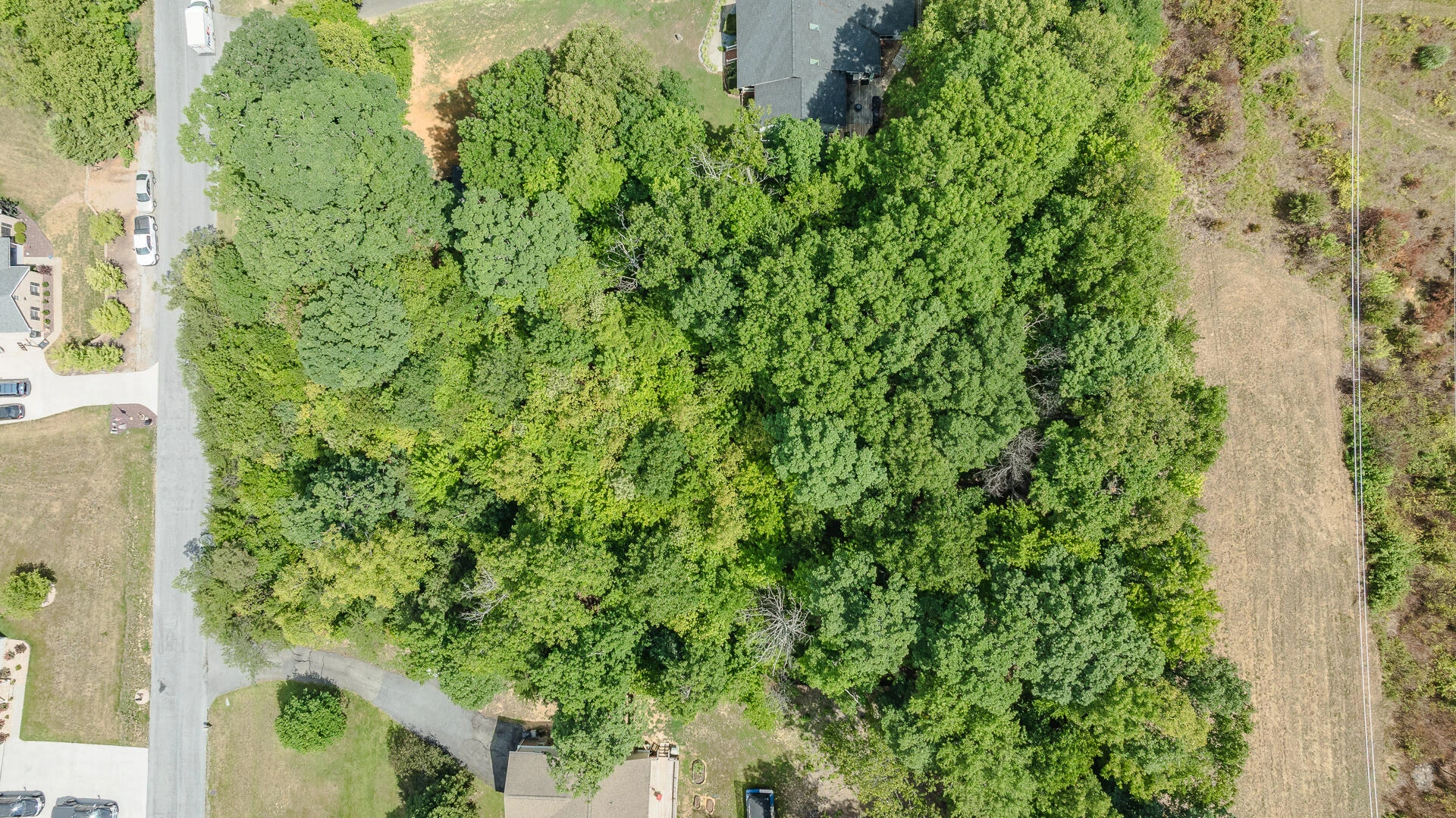 Lot 14 Autumnwood LN - Photo 3